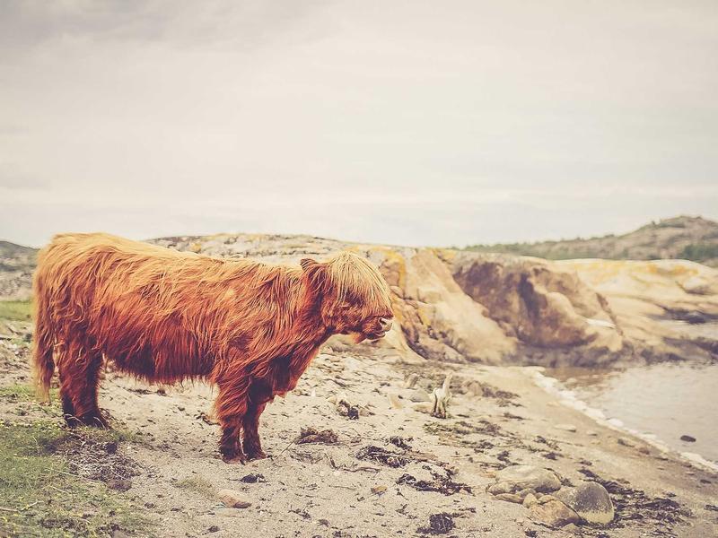 InlamZaseTruvar Mendoza